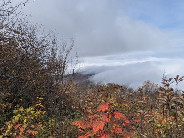 Hike 41: Windham High&nbsp;Peak